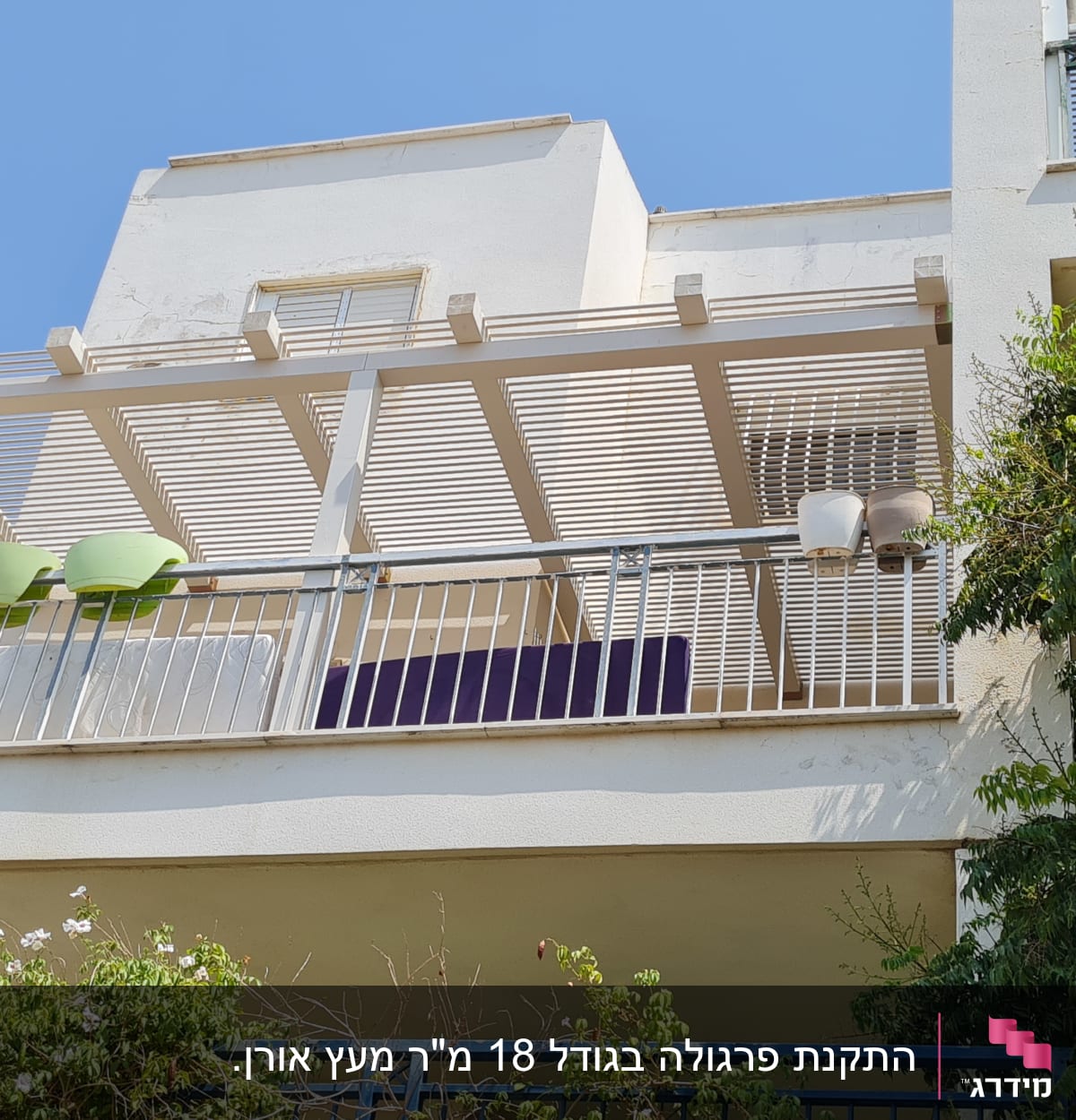 עציצים ירוקים תלויים על מעקה מרפסת